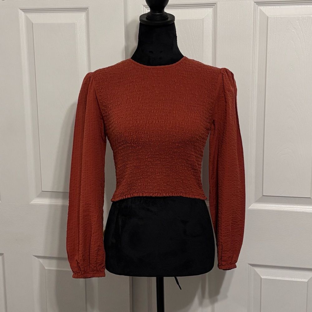 Urban Outfitters Luca Terracotta Rust Long Sleeve Smocked Crop Top Blouse XS
